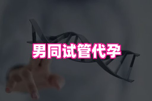 幸孕 4